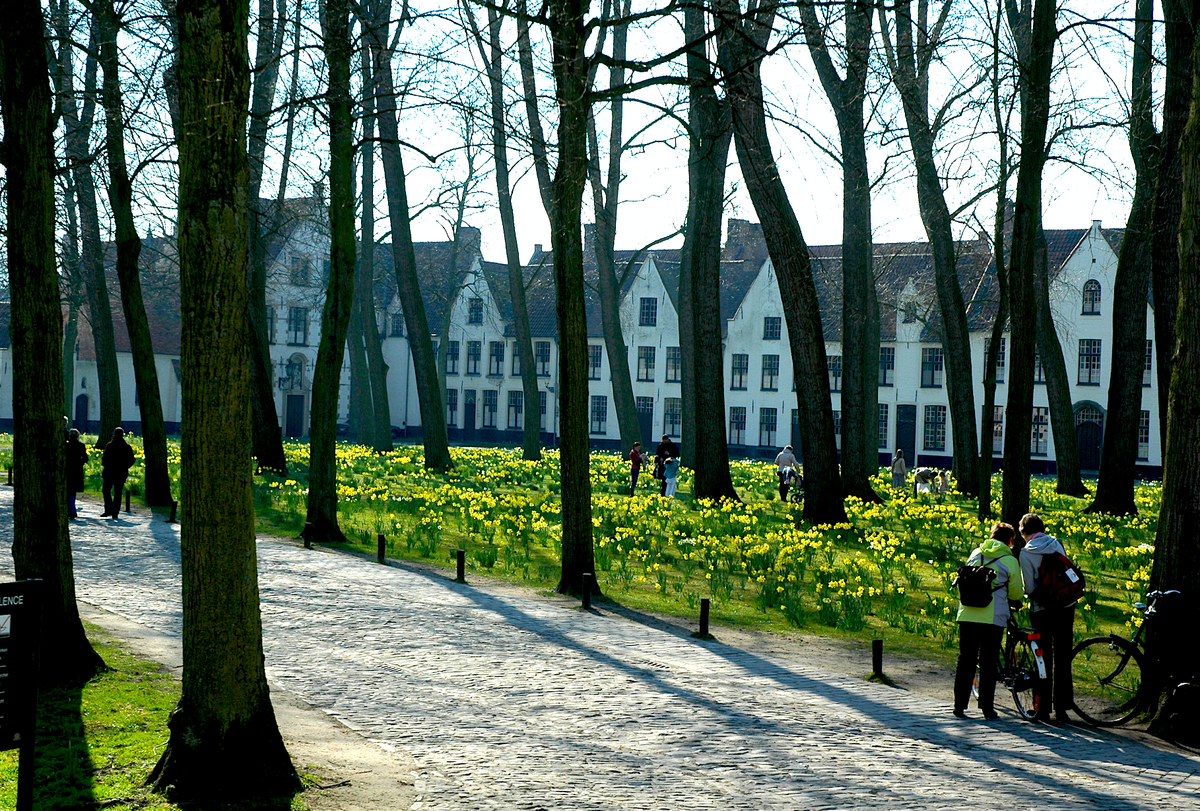 布魯日 春天假期:《In Bruges》